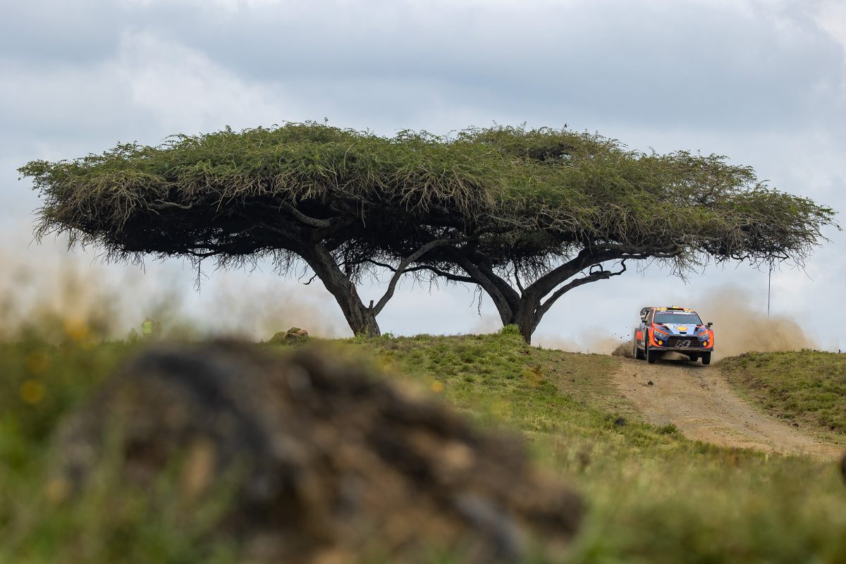Thierry Neuville/Martijn Wydaeghe fahren in Kenia noch auf Platz acht (Bild: Fabien Dufour/Belga)