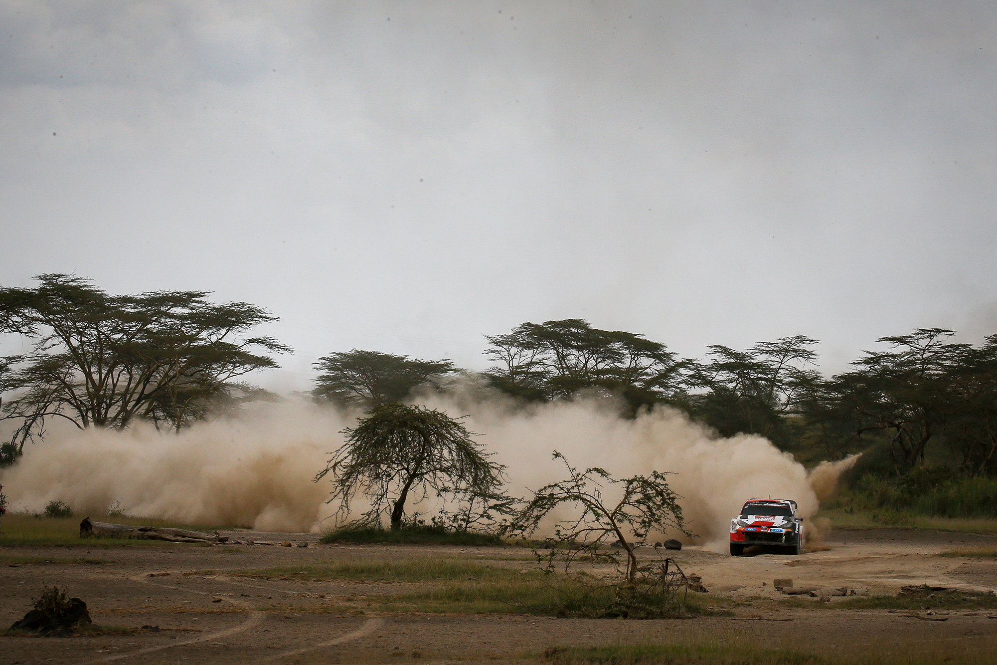 Sébastien Ogier/Vincent Landais bei der Safari-Rallye Kenia (Bild: Toyota Gazoo Racing WRT)