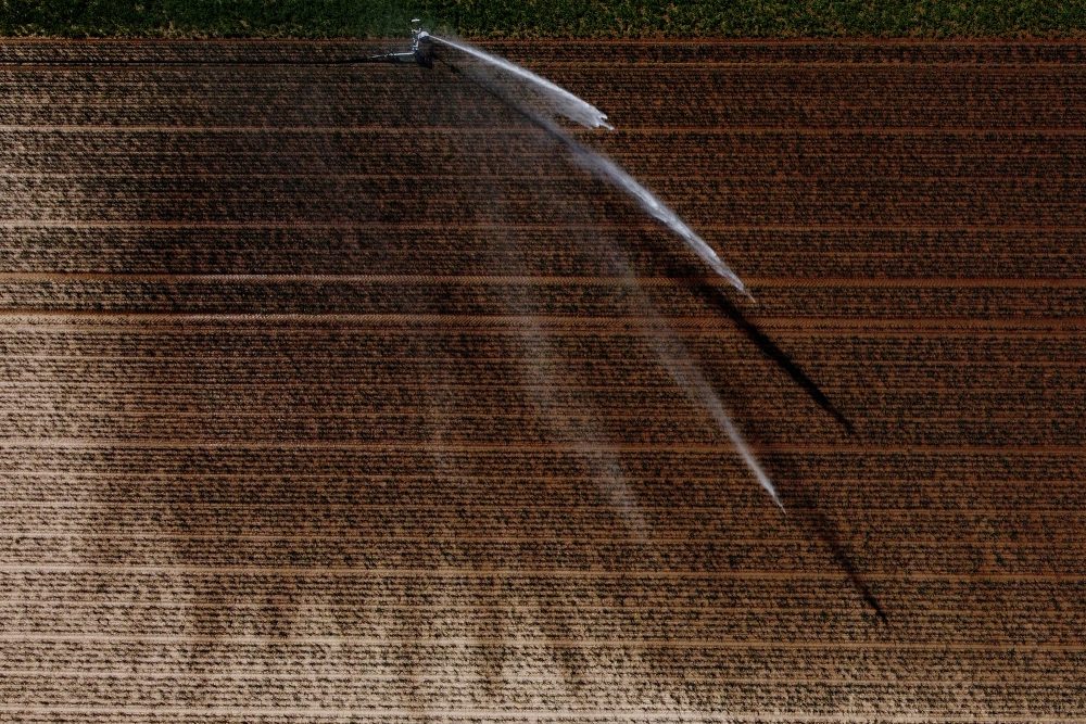 Landwirt wässert ein Gemüsefeld