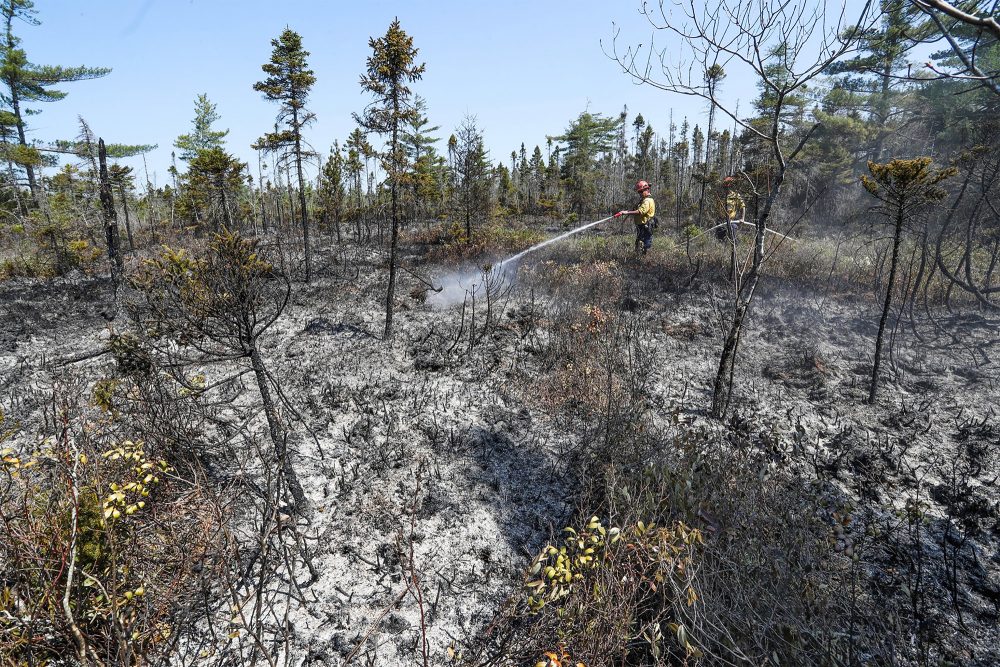 Feuerwehrleute bekämpfen einen Waldbrand im Shelburne County (Bild: Nova Scotia Government/AFP)