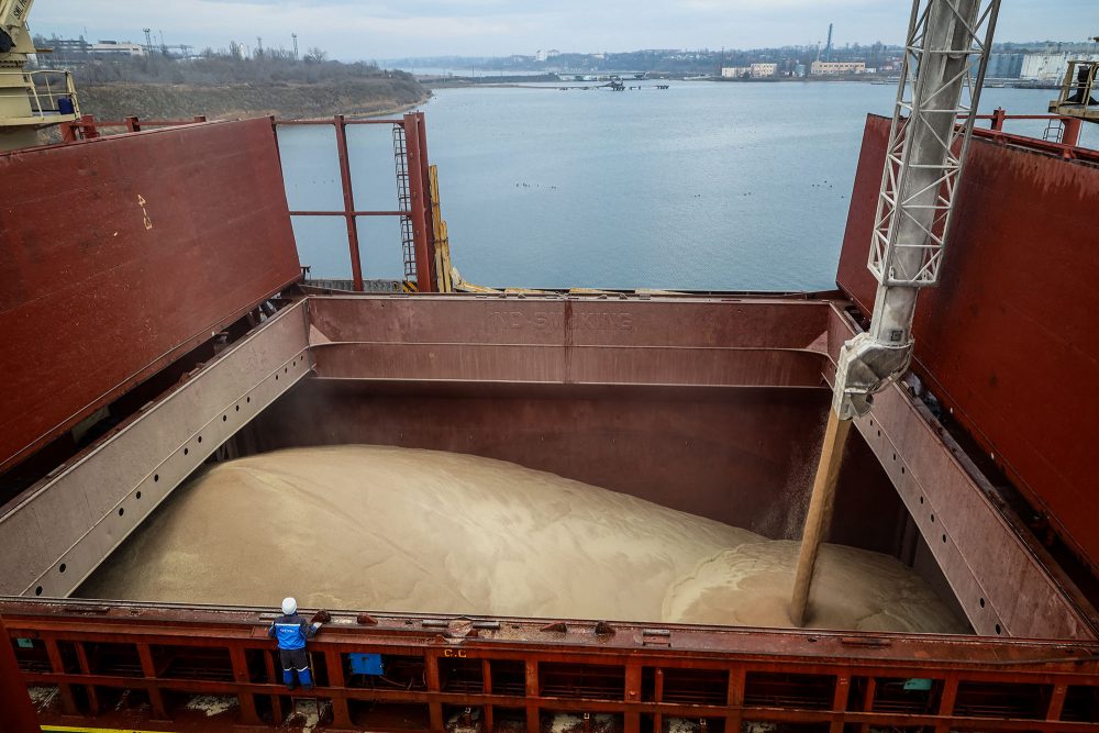 Getreidefrachter im Hafen von Tschornomorsk im Osten von Odessa