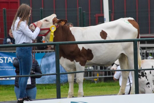 Landwirtschaftsmesse in Libramont (Bild: Stephan Pesch/BRF)