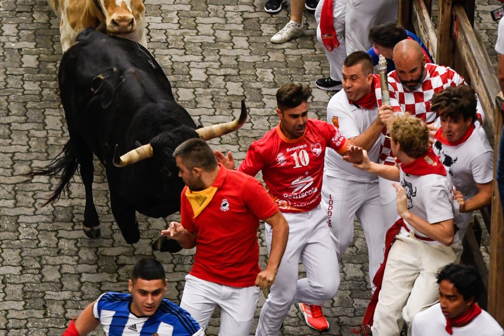 "Encierro": Stierhatz in Pamplona (Bild: Miguel Riopa/Belga)