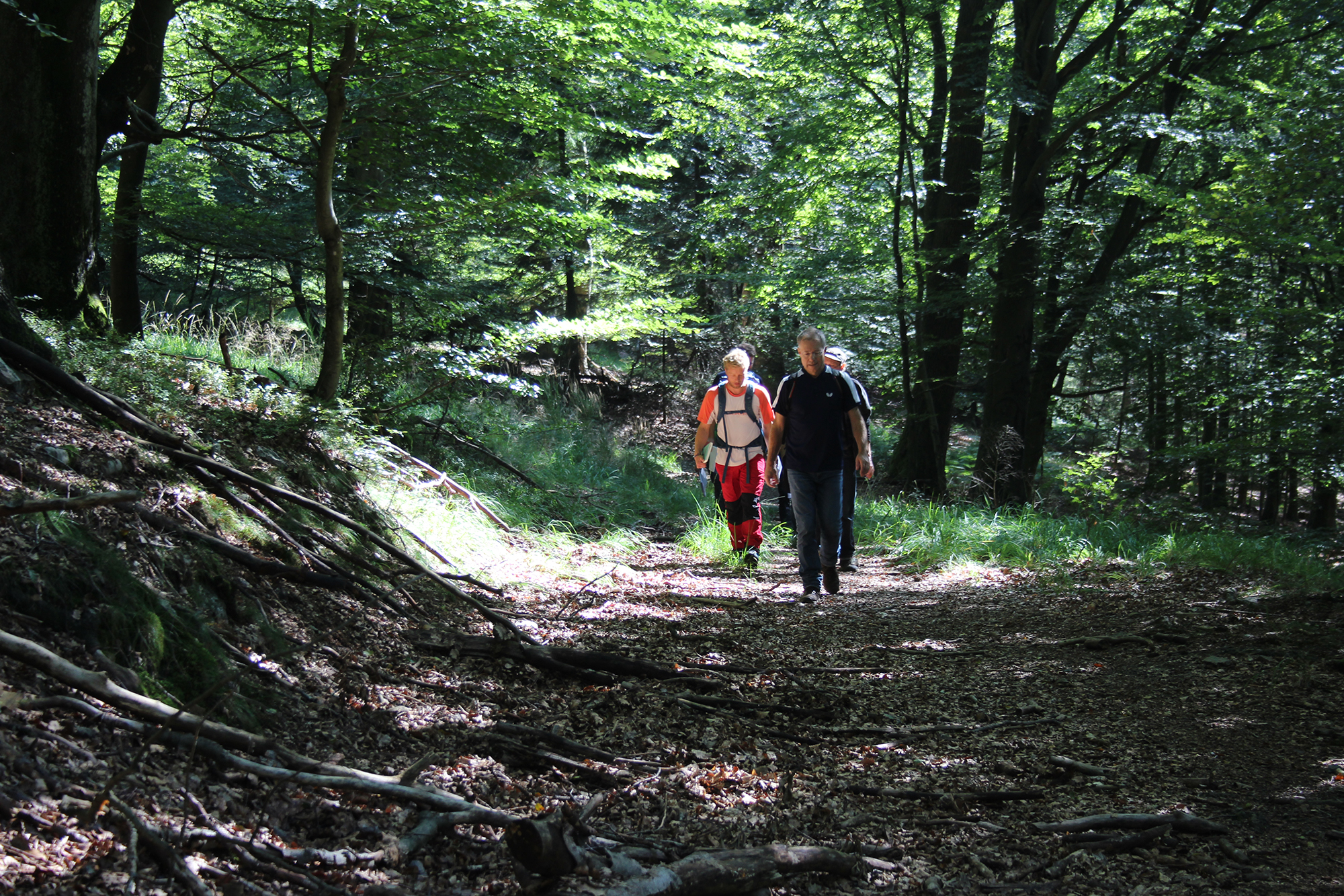 Wanderer im Hertogenwald in der Nähe von Ternell (Archivbild: Katja Engel/BRF)