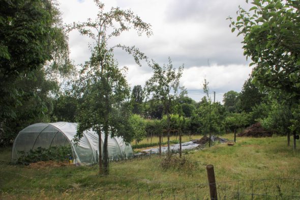 Regenerative Landwirtschaft - die Arthur Greenbean Ranch in Welk
