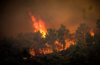 Waldbrand auf Rhodos (Bild: Eurokinissi/AFP)