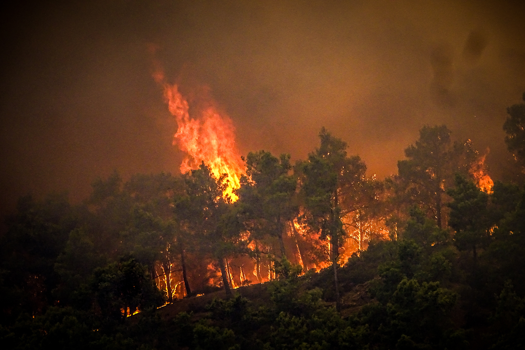 Waldbrand auf Rhodos (Bild: Eurokinissi/AFP)