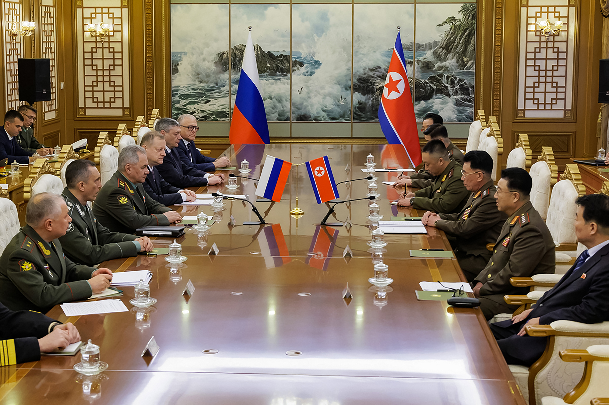 Russlands Verteidigungsminister Schoigu bei einem Treffen in Pjöngjang (Bild: Handout/Russian Defence Ministry/AFP)