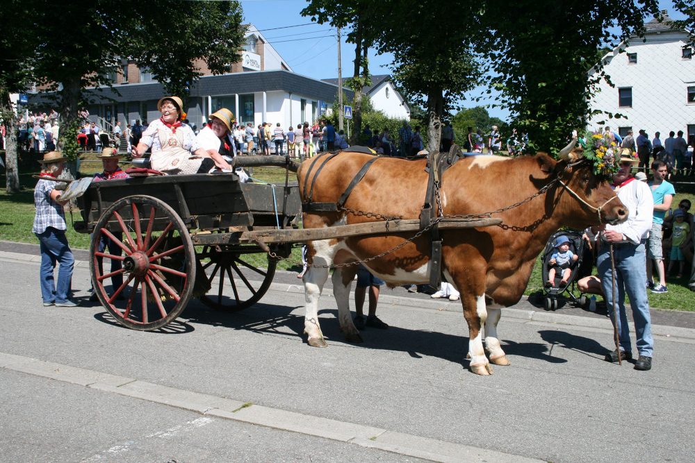 Sommerfest Amel (Archivbild)