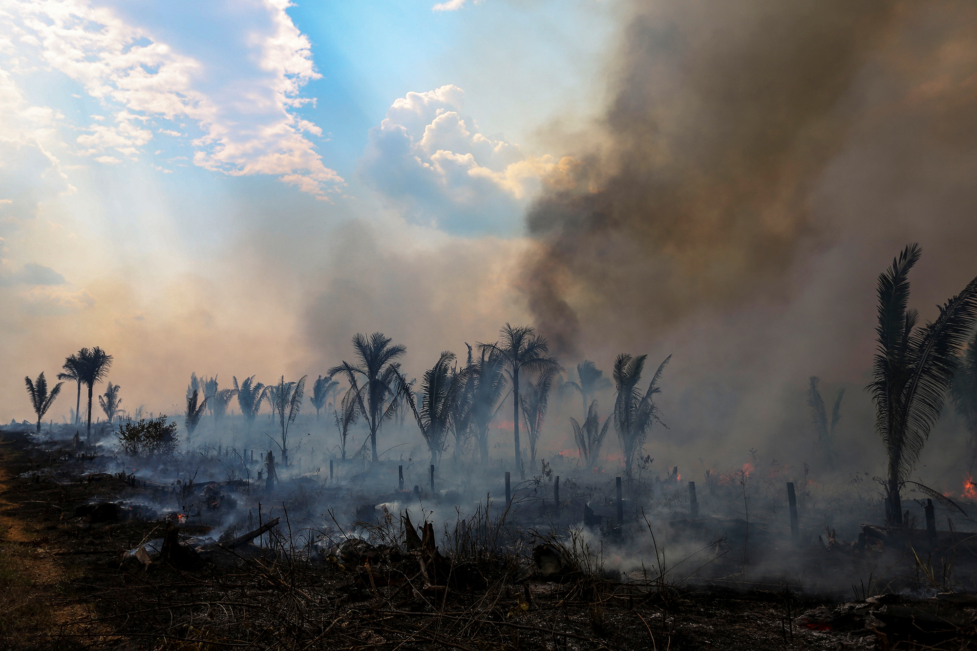 Verbrannte Fläche des Amazonas-Regenwaldes in Apui im brasilianischen Bundesstaat Amazonas