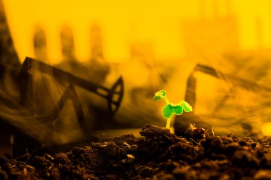 Erdüberlastungstag am 1. August 2024