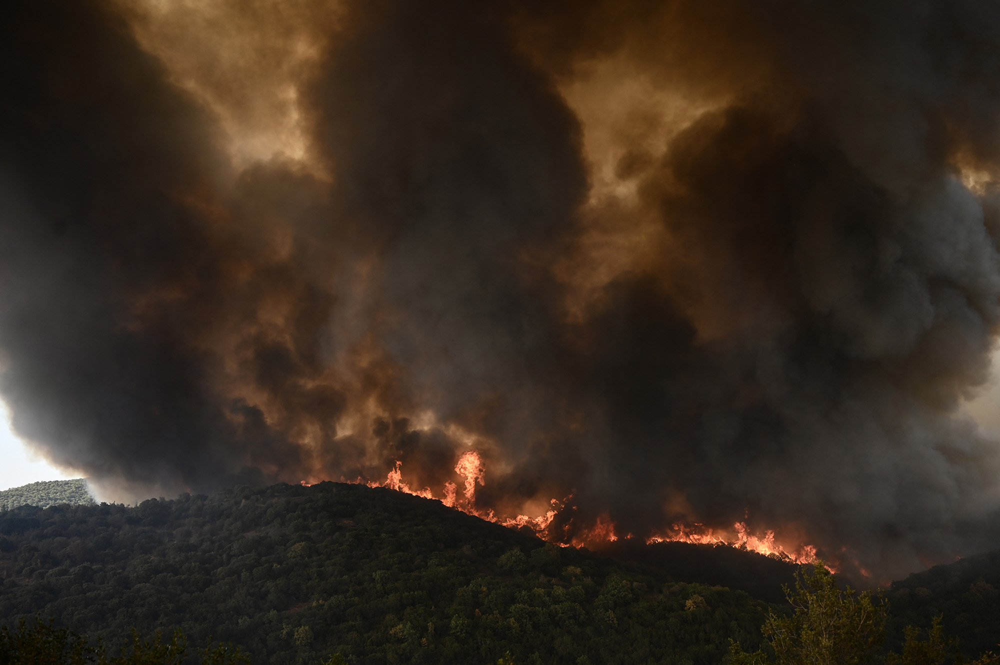Waldbrand in Sikorahi in der Nähe von Alexandroupoli am Mittwoch (Bild: Sakis Mitrolidis/AFP)
