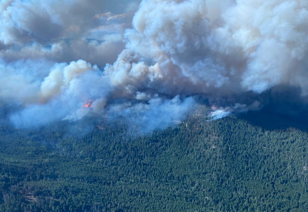 Waldbrände in Kanada (Bild: BC Wildfire Service/Handout/AFP)