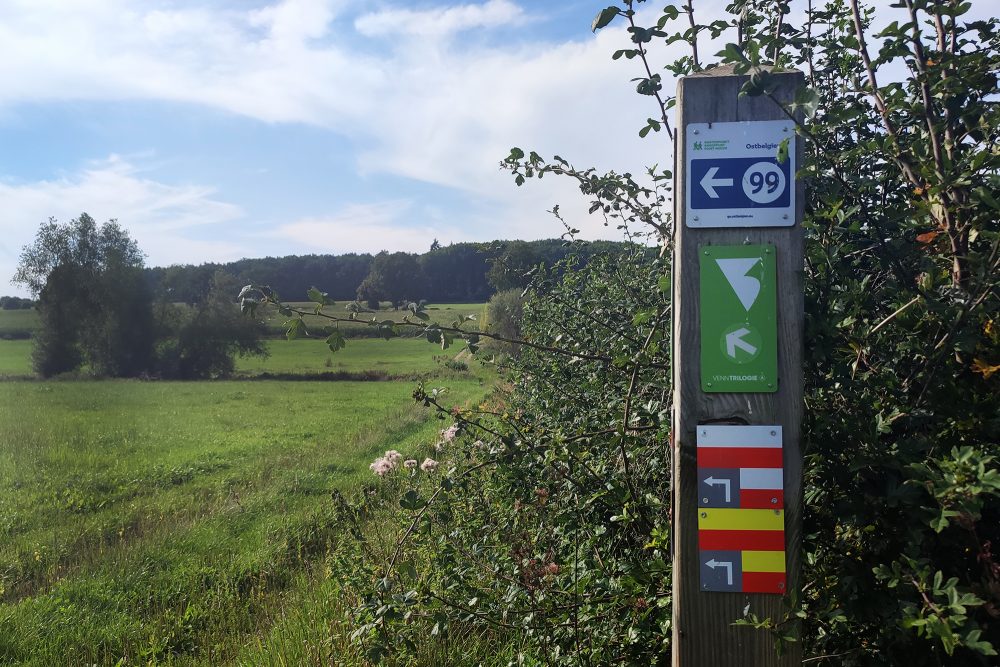 Wandern in Ostbelgien - Knotenpunkte und Venntrilogie (Bild: Katrin Margraff/BRF)