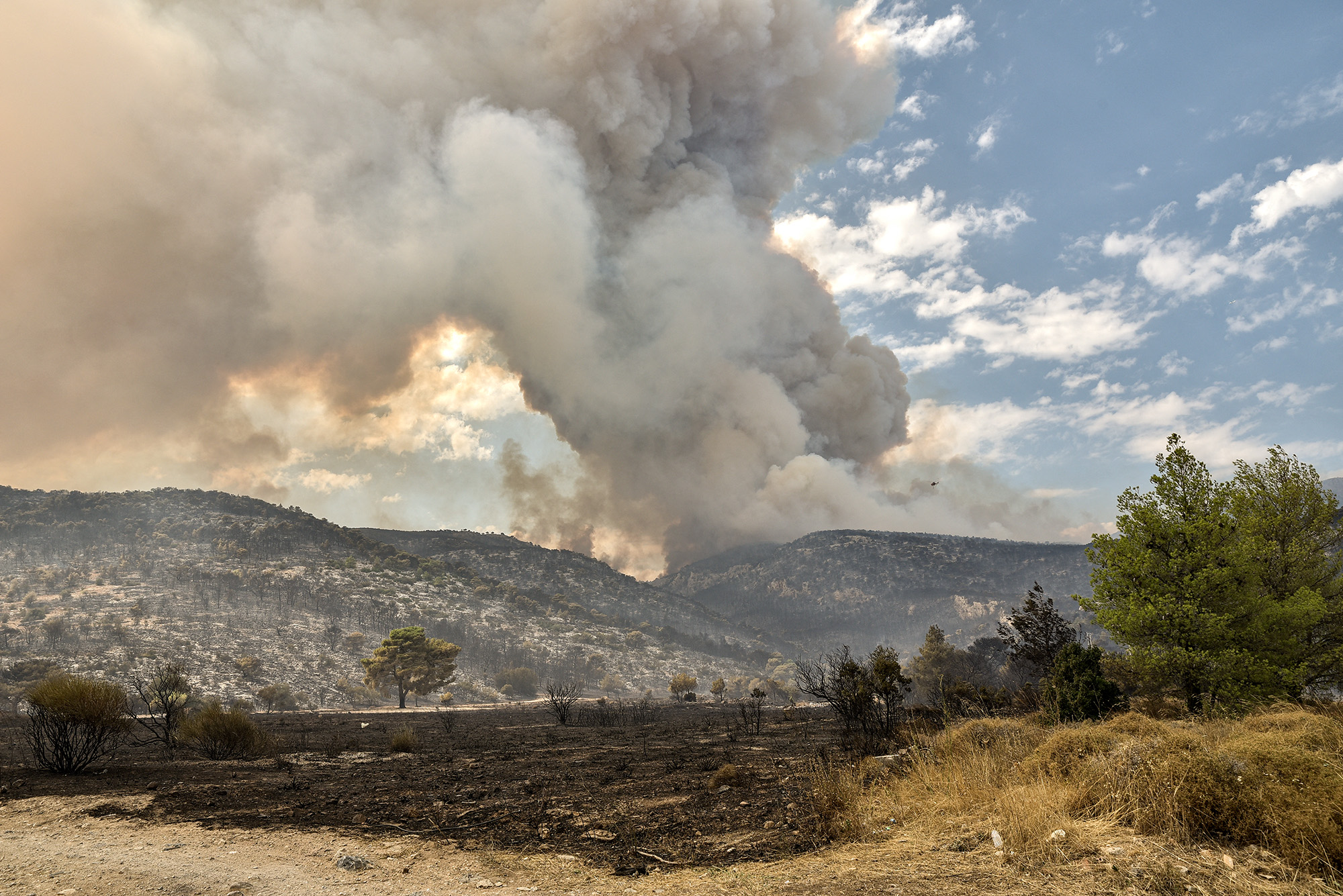 Dichte Rauchwolke über dem Gebirge Parnitha (Bild: Spyros Bakalis/AFP)