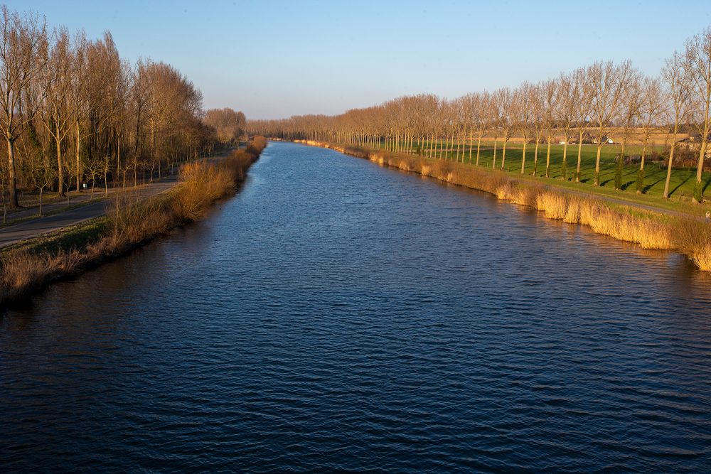 Die Schelde in Flandern (Illustrationsbild: Nicolas Maeterlinck/Belga)