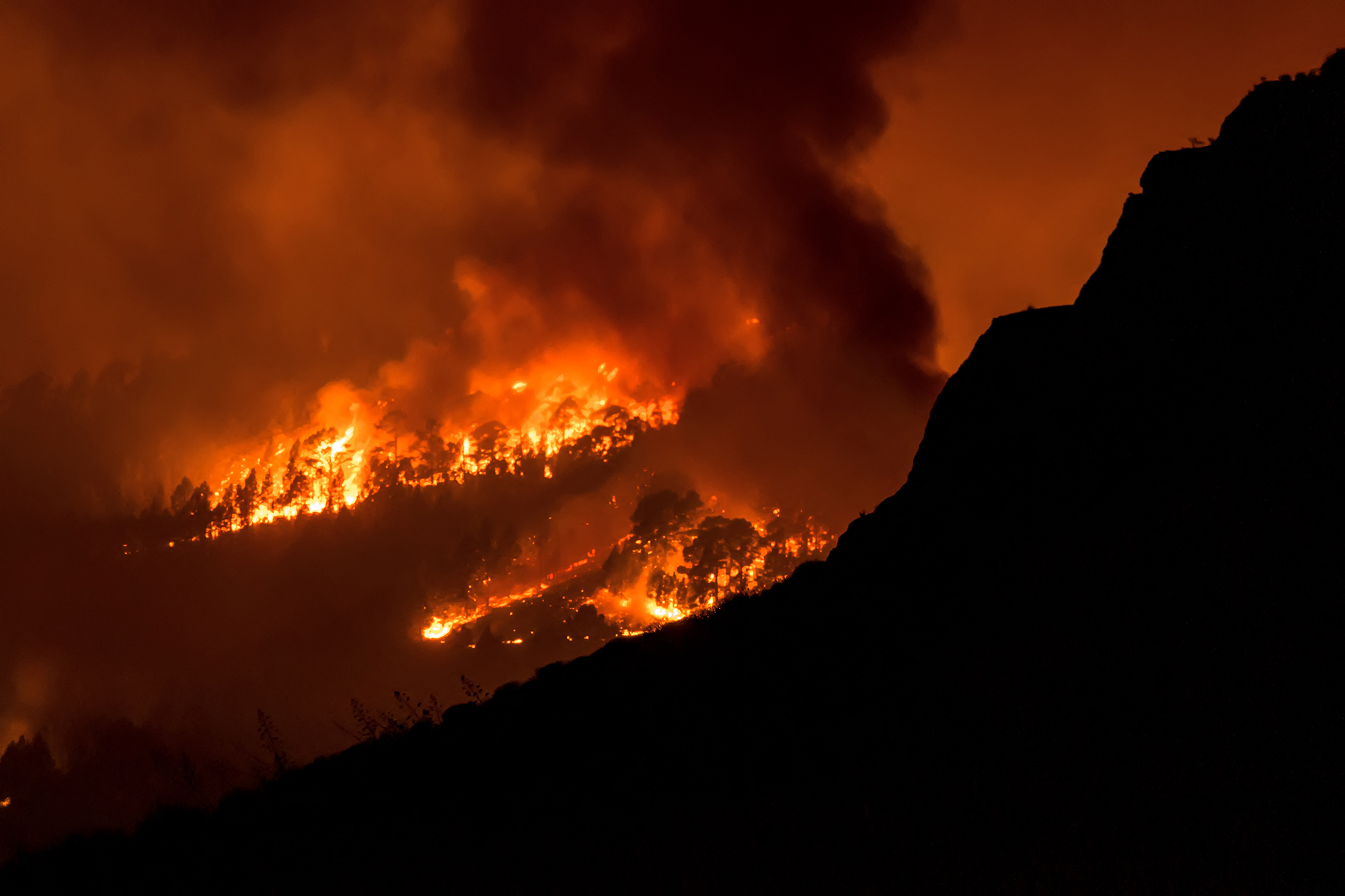 Waldbrände auf Teneriffa (Bild: Desiree Martin/AFP)