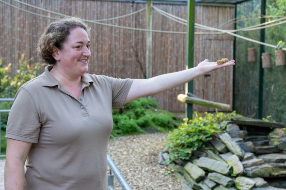 Tierpark Euregiozoo Aachen - Zooinspektorin Steffi Ponican (Bild: Olivier Krickel/BRF)