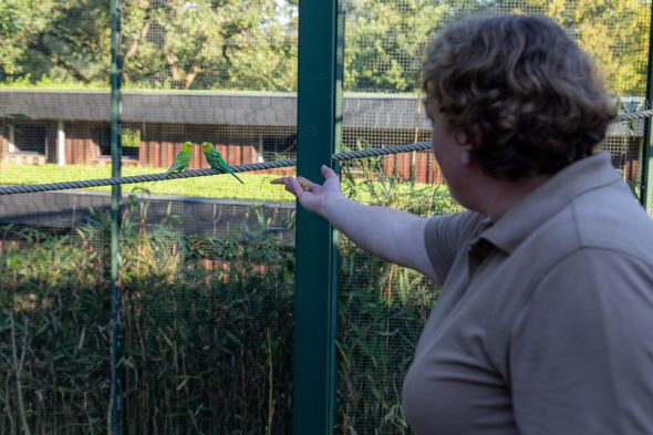 Tierpark Euregiozoo Aachen - Zooinspektorin Steffi Ponican (Bild: Olivier Krickel/BRF)