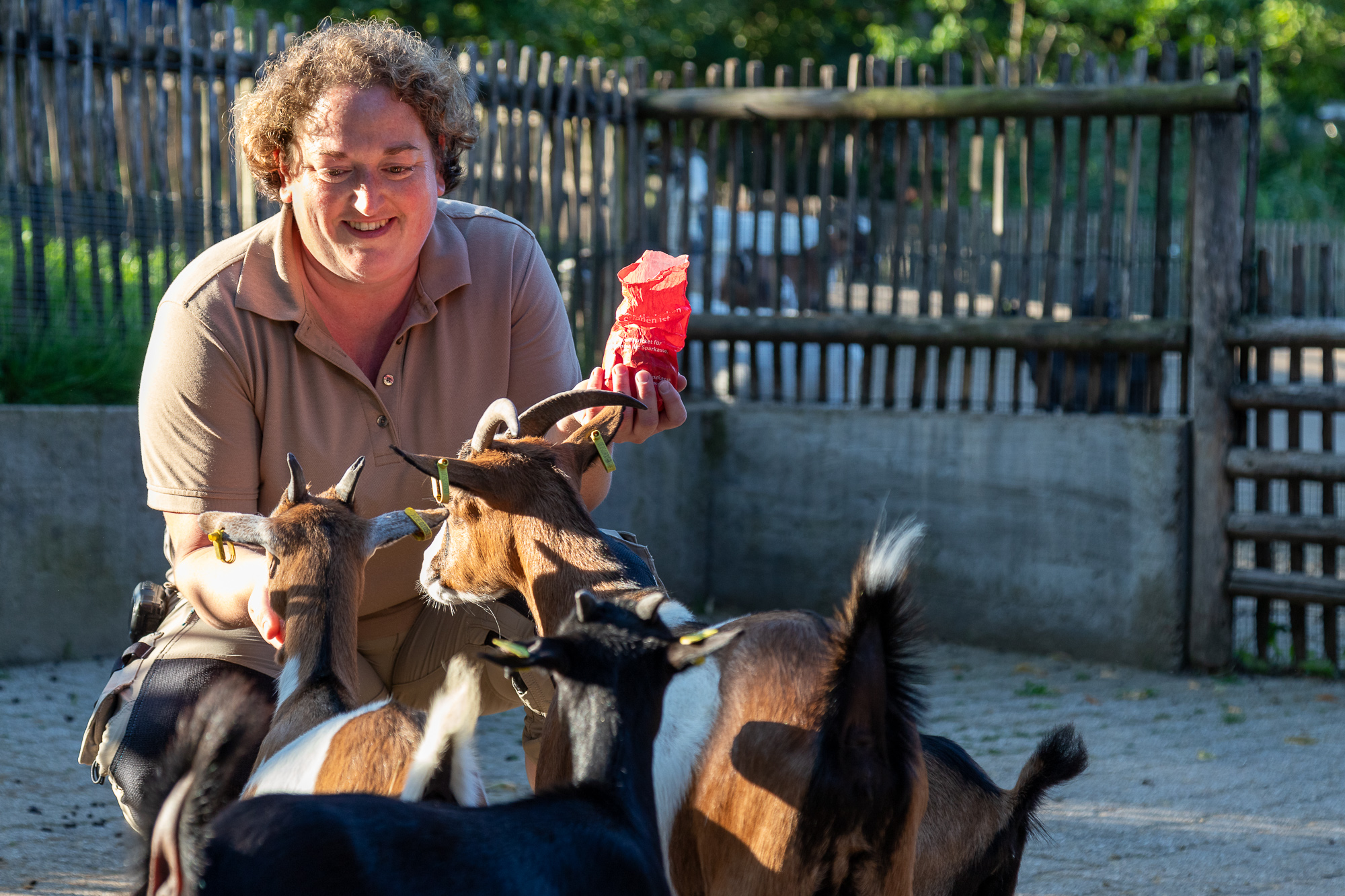 Tierpark Aachen - Zooinspektorin Steffi Ponican (Bild: Olivier Krickel/BRF)