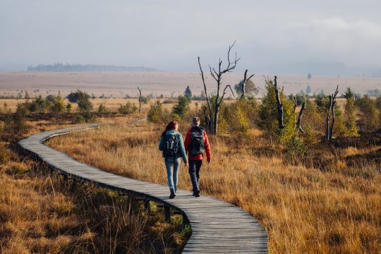 Wandern im Venn (Bild: Chris Eyre-Walker/TAO)