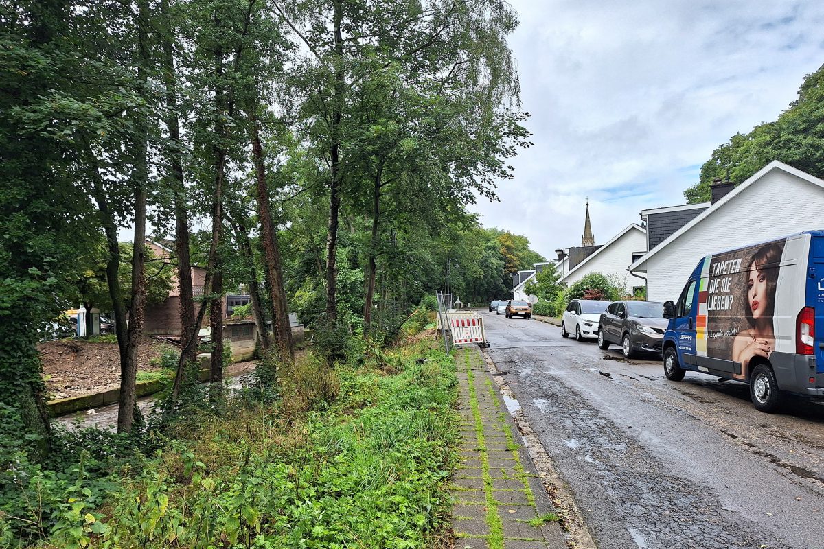 In der Weserstraße in Eupen berichten mehrere Anwohner, dass Waschbären die Mülltonnen plündern (Bild: Dogan Malicki/BRF)