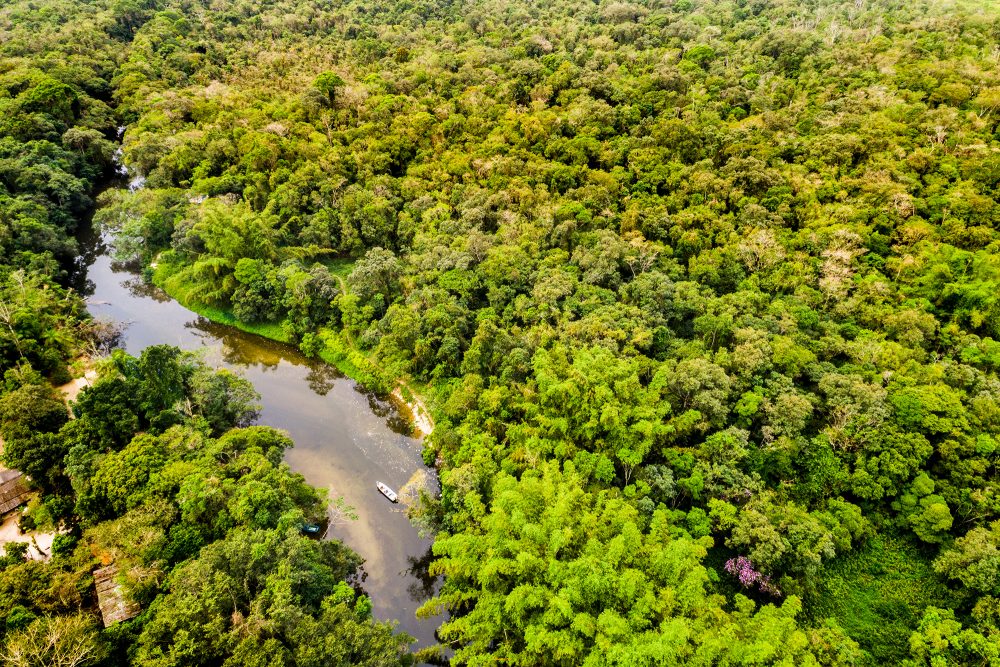 Luftaufnahme des Amazonas-Regenwaldes in Südamerika (Illustrationsbild: © gustavofrazao/PantherMedia)