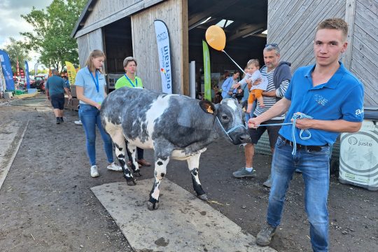 Foire Agricole Battice