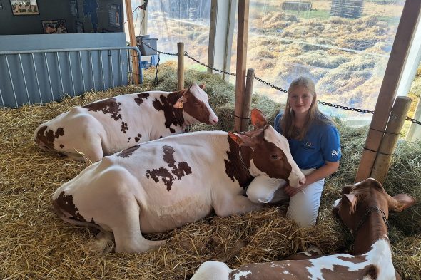 Foire Agricole in Battice
