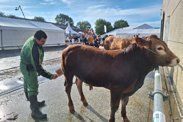 Foire Agricole Battice