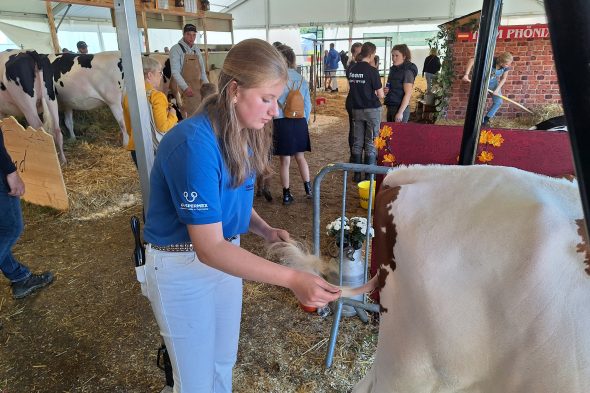 Foire Agricole Battice