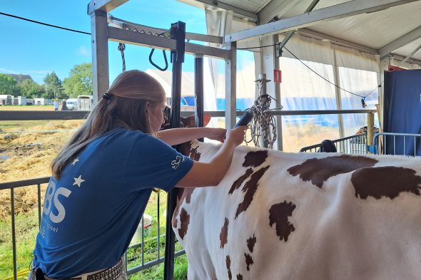 Foire Agricole Battice