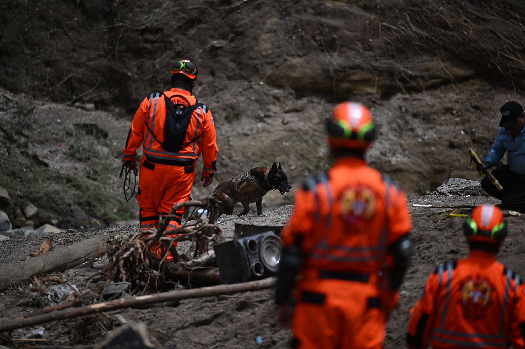 Rettungskräfte suchen nach Überlebenden (Bild: Johan Ordonez/AFP)