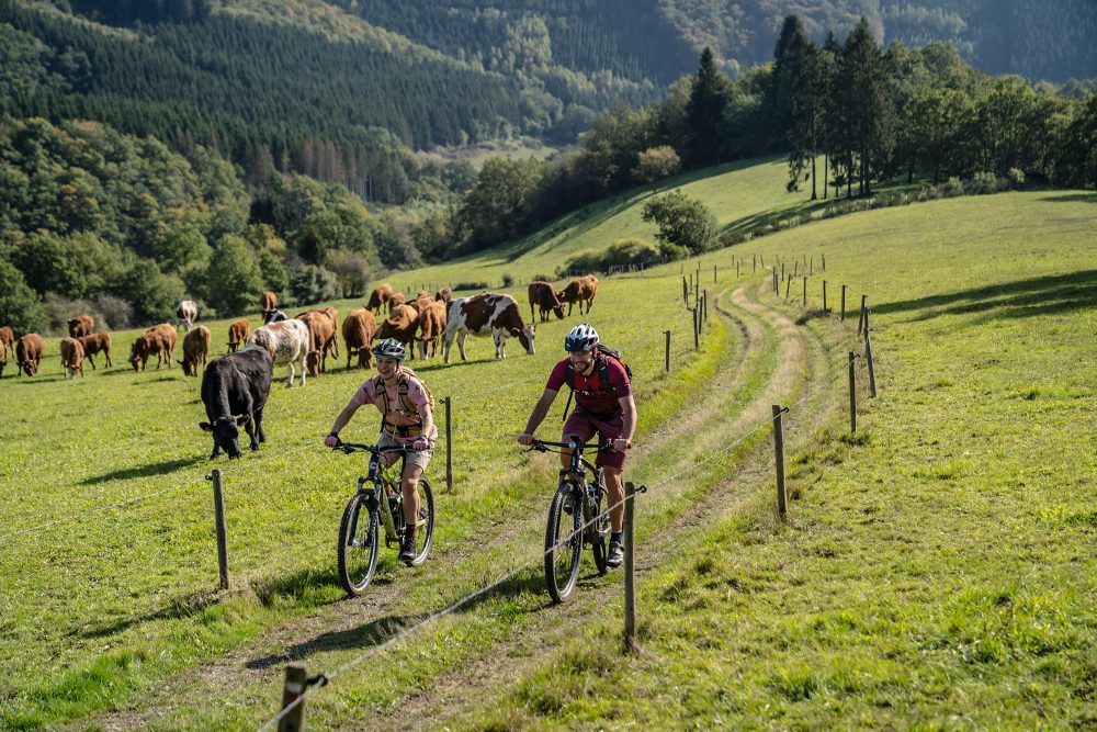 Stoneman Arduenna (Bild: Dennis Stratmann/Tourismusagentur Ostbelgien)