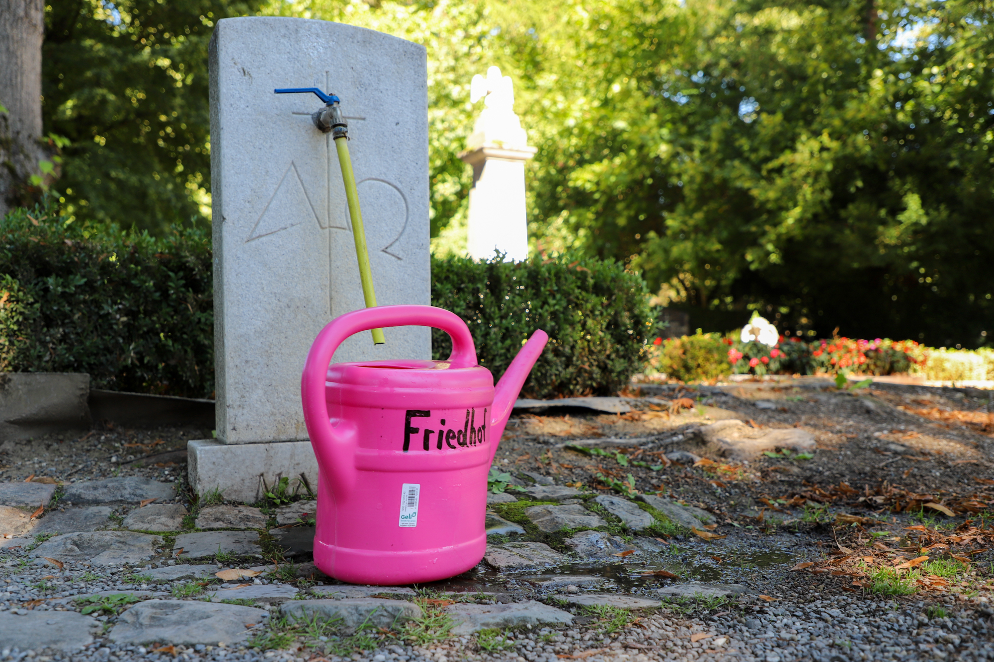 Pinke Gießkannen auf dem Eupener Friedhof (Bild: Julien Claessen/BRF)