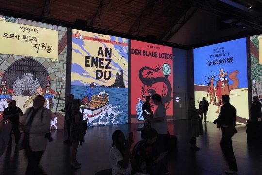 Immersive Ausstellung zu "Tim und Struppi" in Brüssel (Bild: Kay Wagner/BRF)