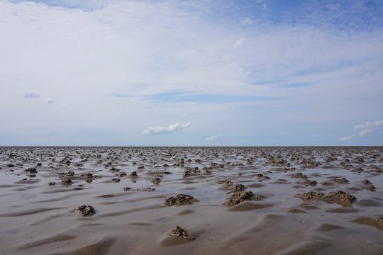 Wattenmeer in der Nordsee