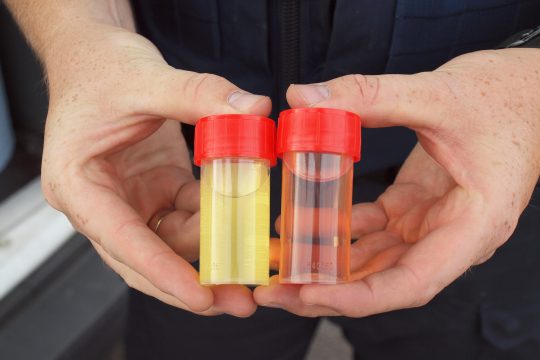 Referenzproben: "Normaler" (weißer) Diesel linls und "roter" Diesel rechts (Bild: Boris Schmidt/BRF)