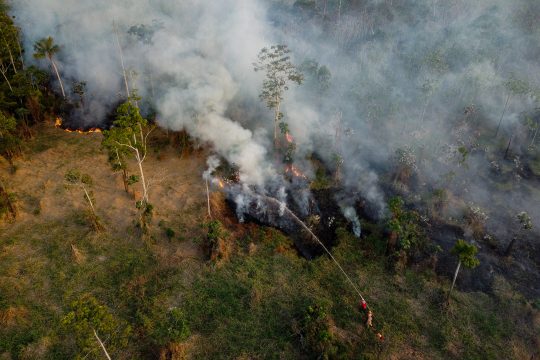 Feuerwehrleute bekämpfen ein illegales Feuer im brasilianischen Amazonas-Gebiet (Archivbild: Michael Dantas/AFP)