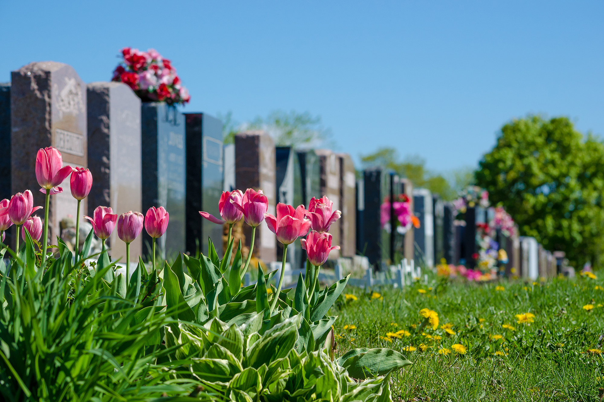 Friedhof (Illustrationsbild: © PantherMedia/marcbruxelle)