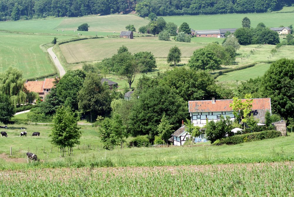 Landschaft im Herver Land (Bild: MT Pays de Herve/C. Paulus)