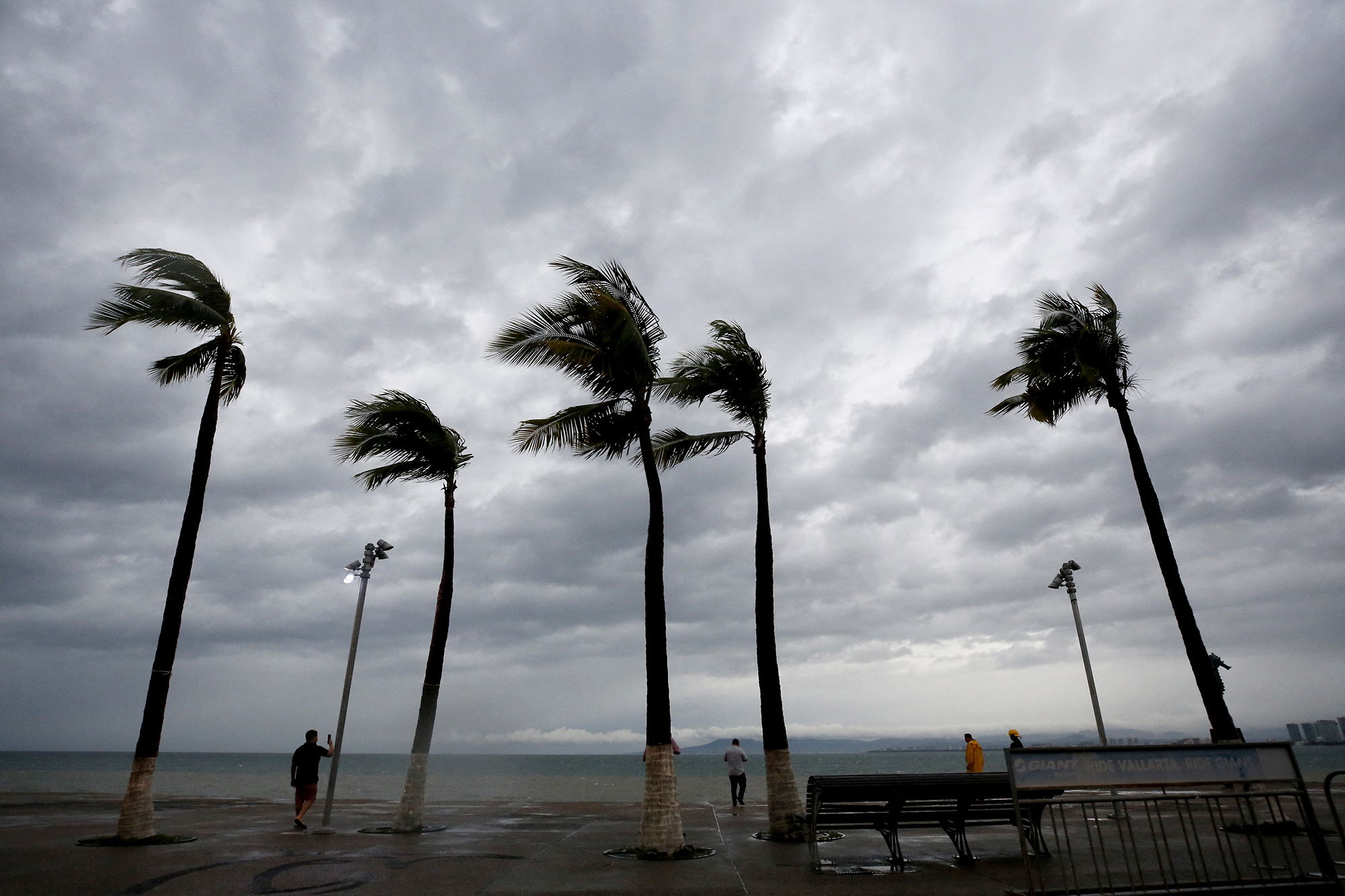 Hurrikan Lidia (Bild: Ulises Ruiz/AFP)