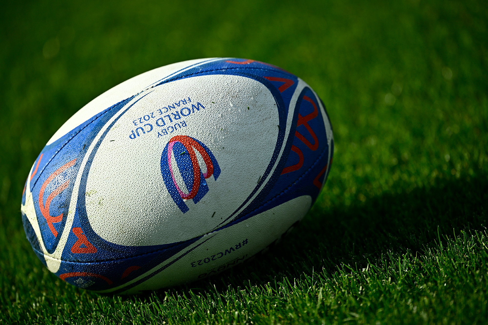 Rugby-WM (Bild: Julien De Rosa/AFP)