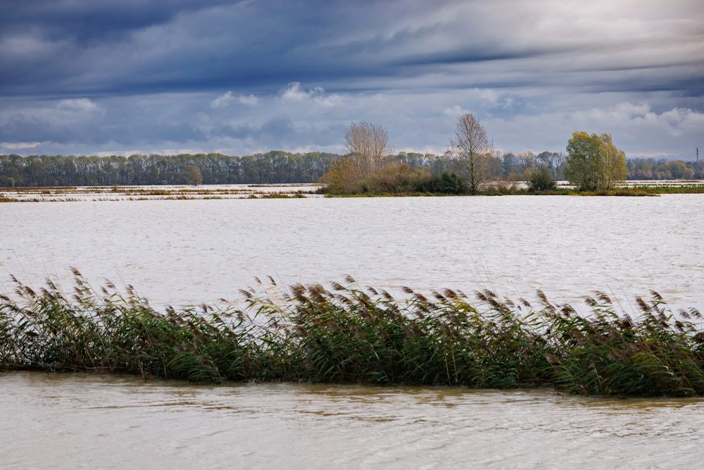 Hochwasser in der Westhoek