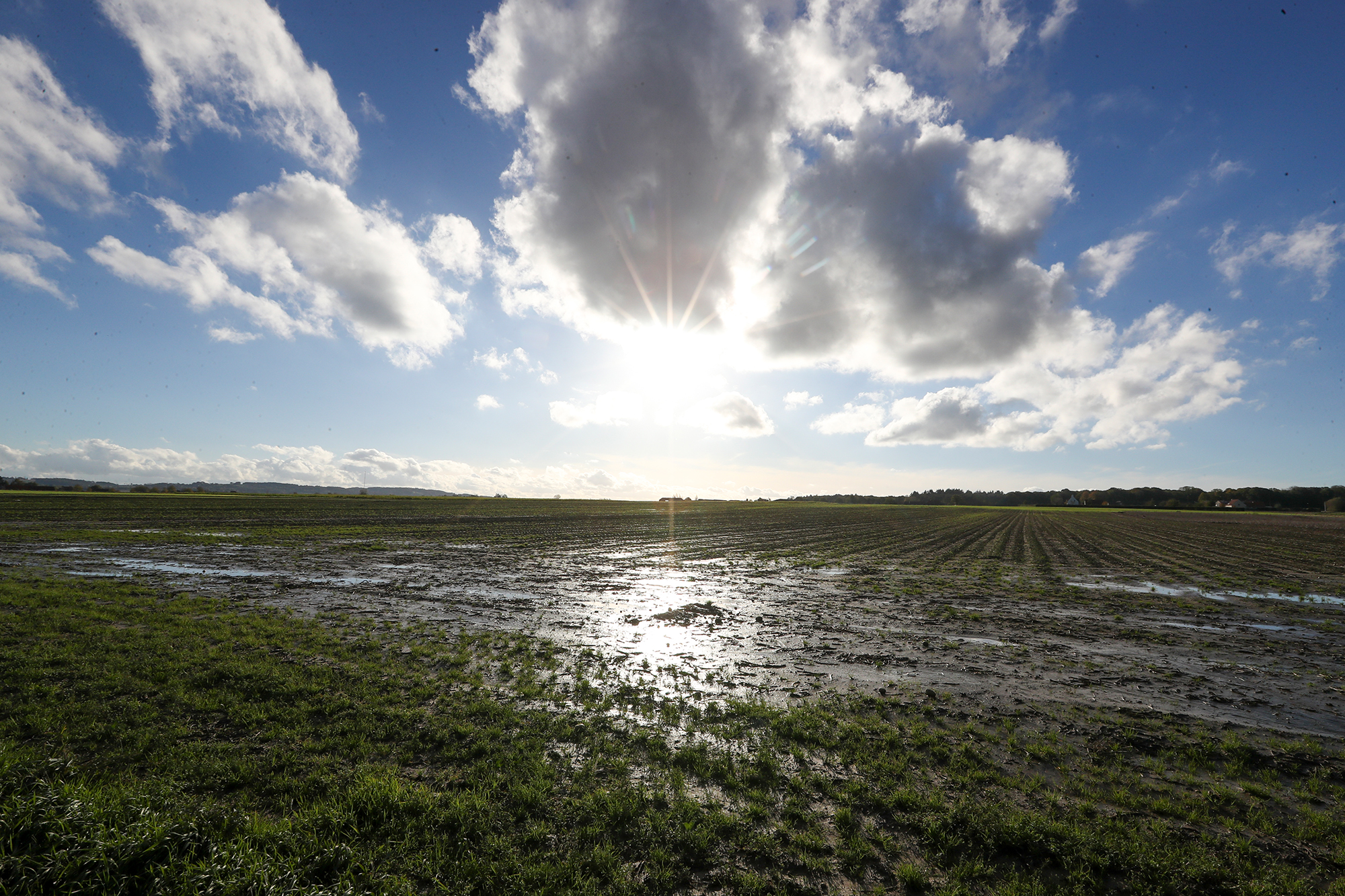 Hochwasser Westhoek