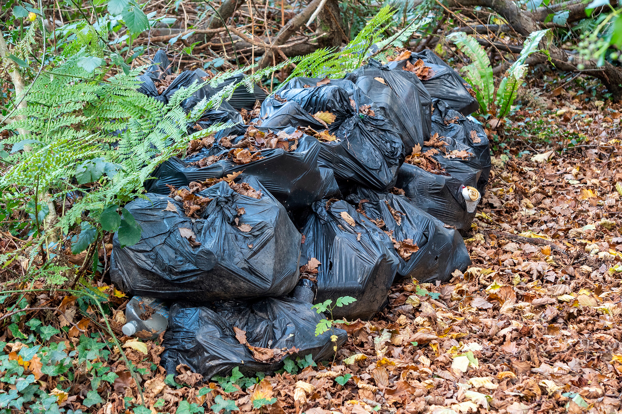 Müll, der illegal entsorgt wurde ( © Bildagentur PantherMedia/Anthony Baggett)