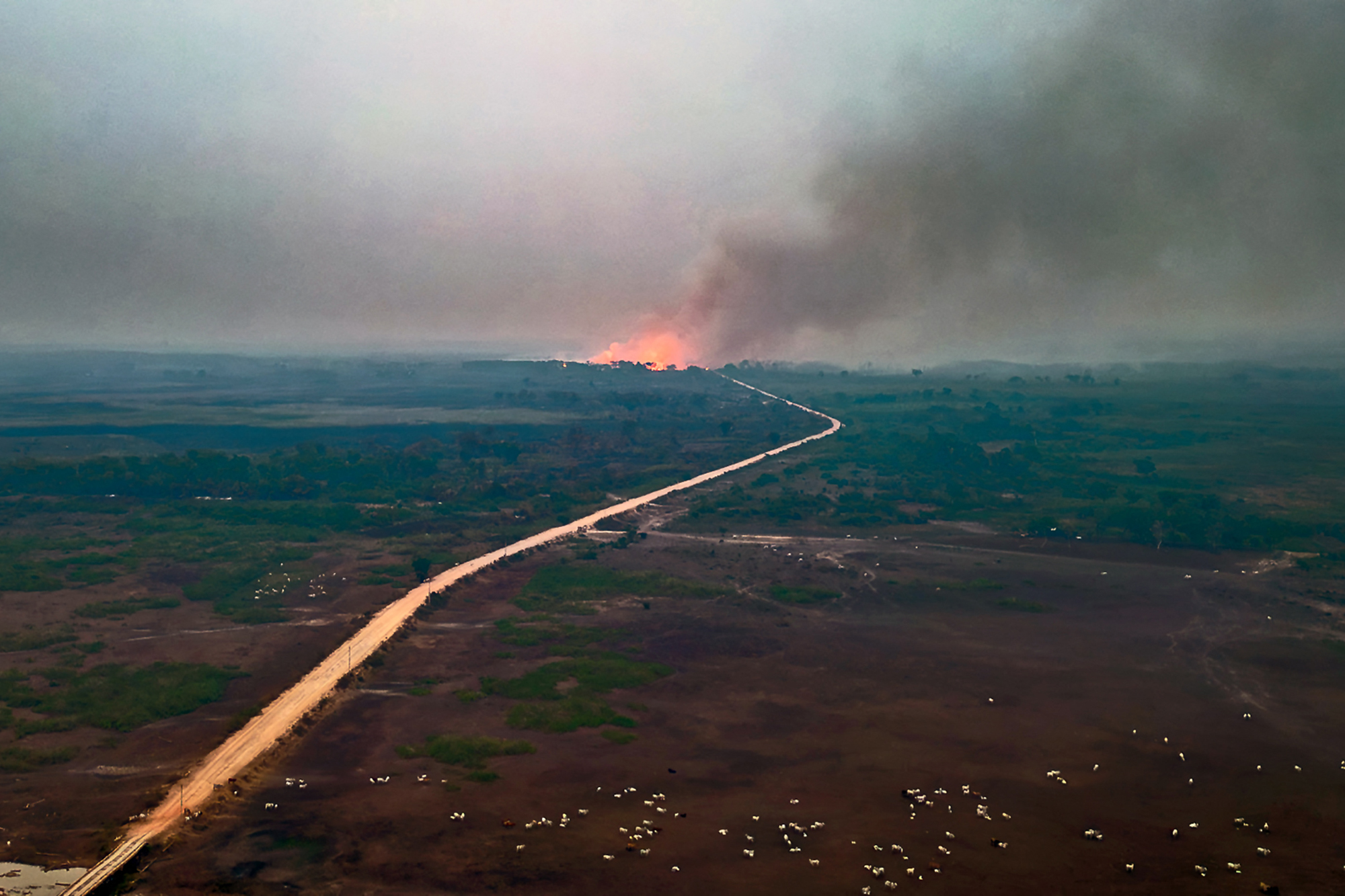 Luftaufnahme eines Waldbrandes im Park Encontro das Aguas im Pantanal-Feuchtgebiet im brasilianischen Bundesstaat Mato Grosso (Bild: Rogerio Florentino/AFP)