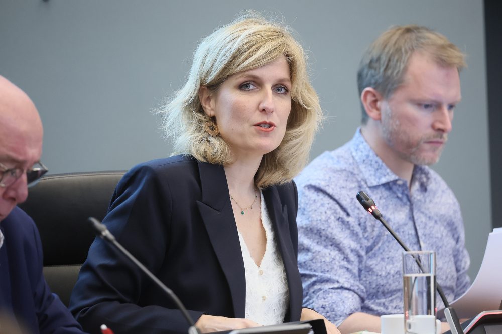 Céline Tellier im Umweltausschuss im Wallonischen Parlament am Freitag (Bild: Bruno Fahy/Belga)