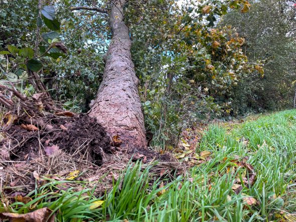 Unwetterschäden auf Schönefeld, Eupen (Bild: Michaela Brück/BRF)