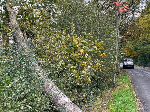 Unwetterschäden auf Schönefeld, Eupen (Bild: Michaela Brück/BRF)